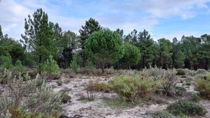 Exclusive Estate – Muda Reserve 871789087