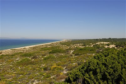 Investment opportunity, Land Plot , Comporta 836917488
