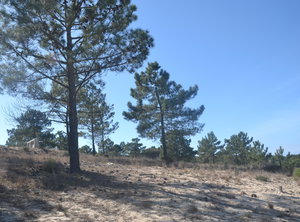 Prime, Land Plot, Carvalhal, Comporta 956884135