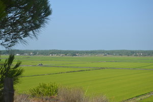 Prime, Land Plot, Carvalhal, Comporta 956884135