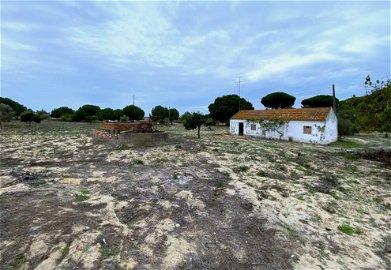 Project Aproved, Land Plot for villa construction, Alcácer do Sal, Comporta 1839245582