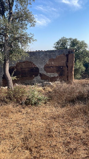 Wonderful, Land Plot for Villa Cosntruction, São Francisco da Serra, Melides 2504483998
