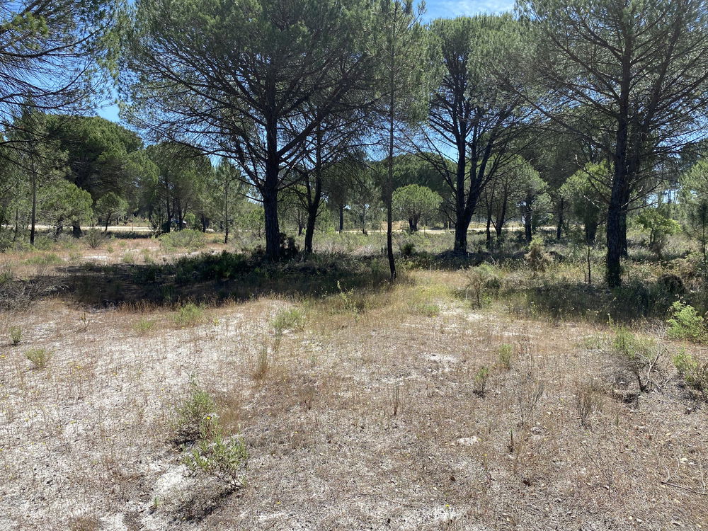 Fantastic, Land Plot for Villa Construction, Muda, Comporta 2618713763