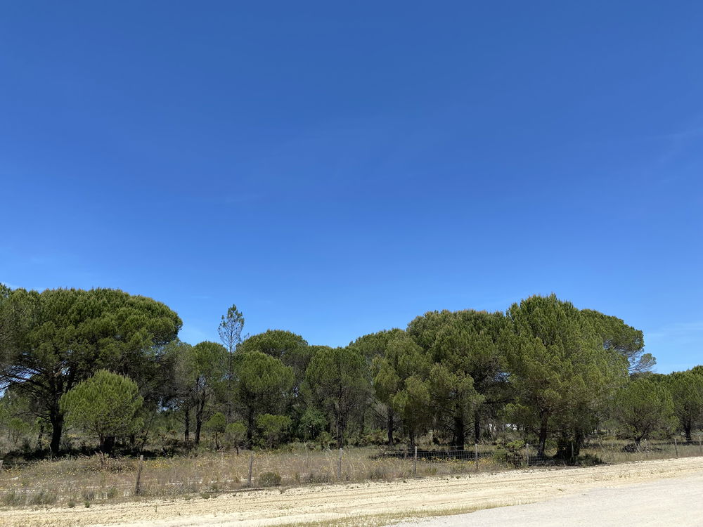 Fantastic, Land Plot for Villa Construction, Muda, Comporta 2618713763