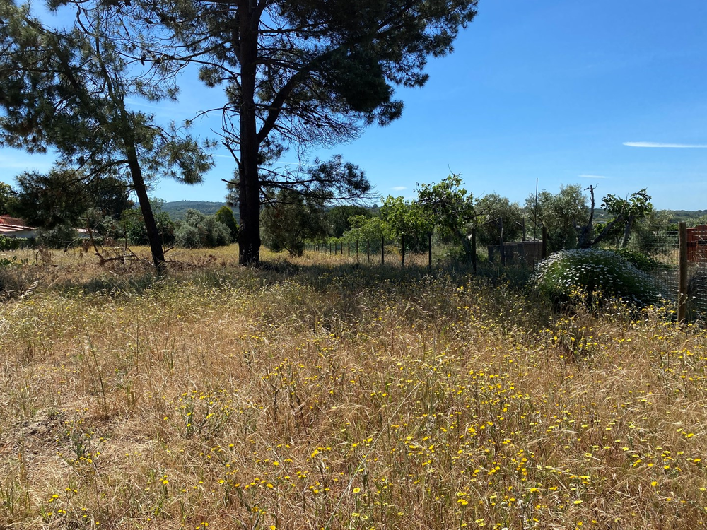 Fantastic, Land Plot, Melides, Comporta 4104956389