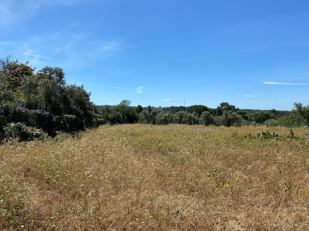 Fantastic, Land Plot, Melides, Comporta 4104956389