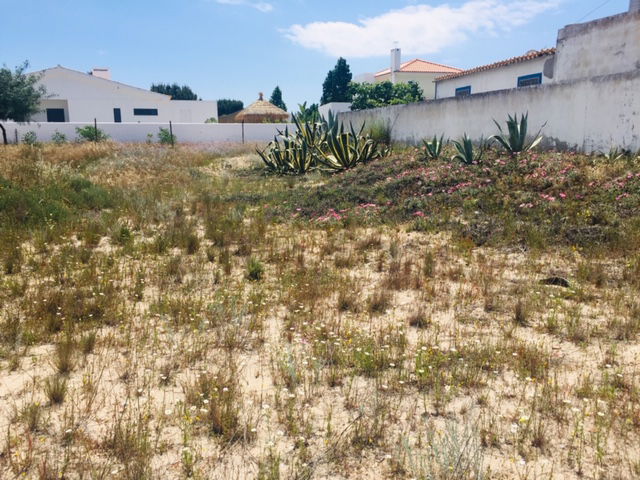 Pleasant, Land Plor for Villa Cosntruction, Possanco, Comporta 372198515