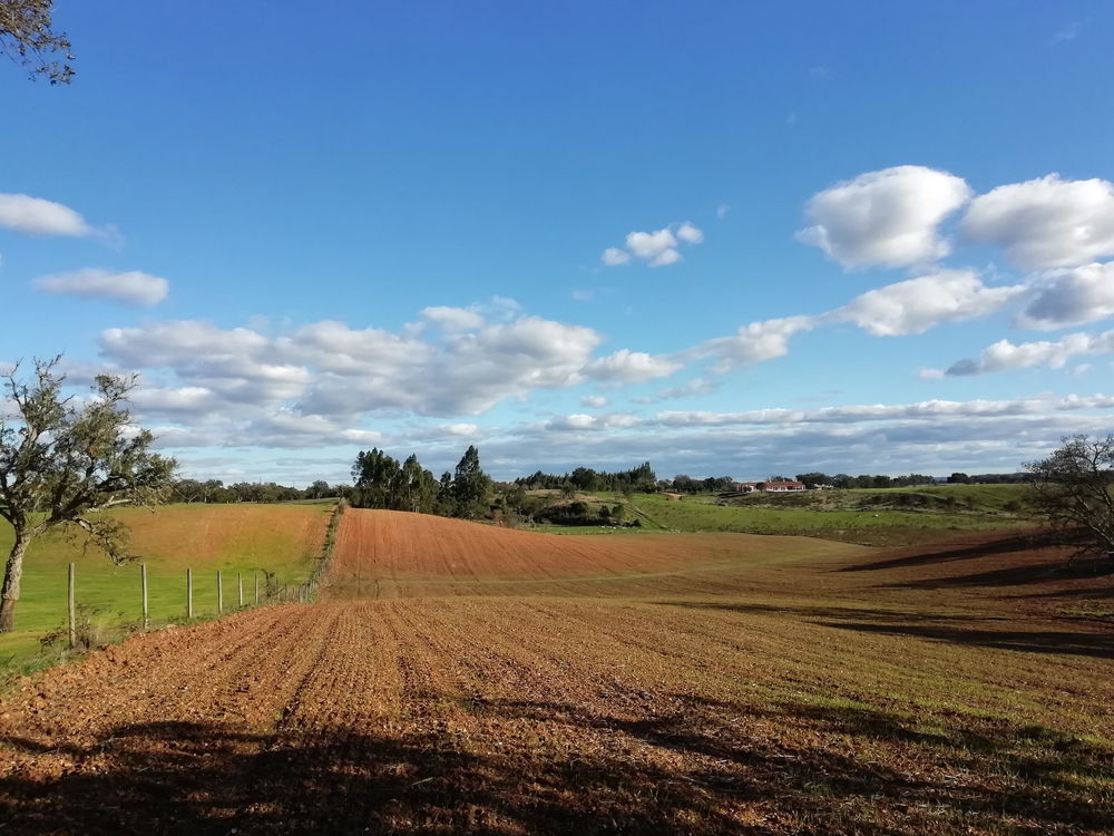 Excellent plot with approved project, Santiago do Cacém, Alentejo 3327902628