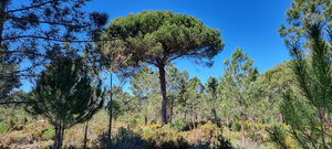 Exclusive Quinta Muda Reserve Estate, Comporta 2618296169