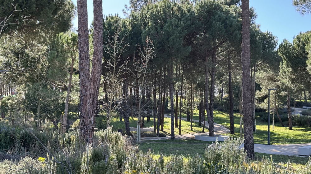 Magnificent 4.5ha, Country Estate, Muda Reserve, Comporta 2618296169