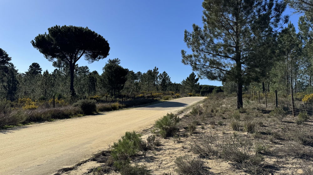 Magnificent 4.5ha, Country Estate, Muda Reserve, Comporta 2618296169
