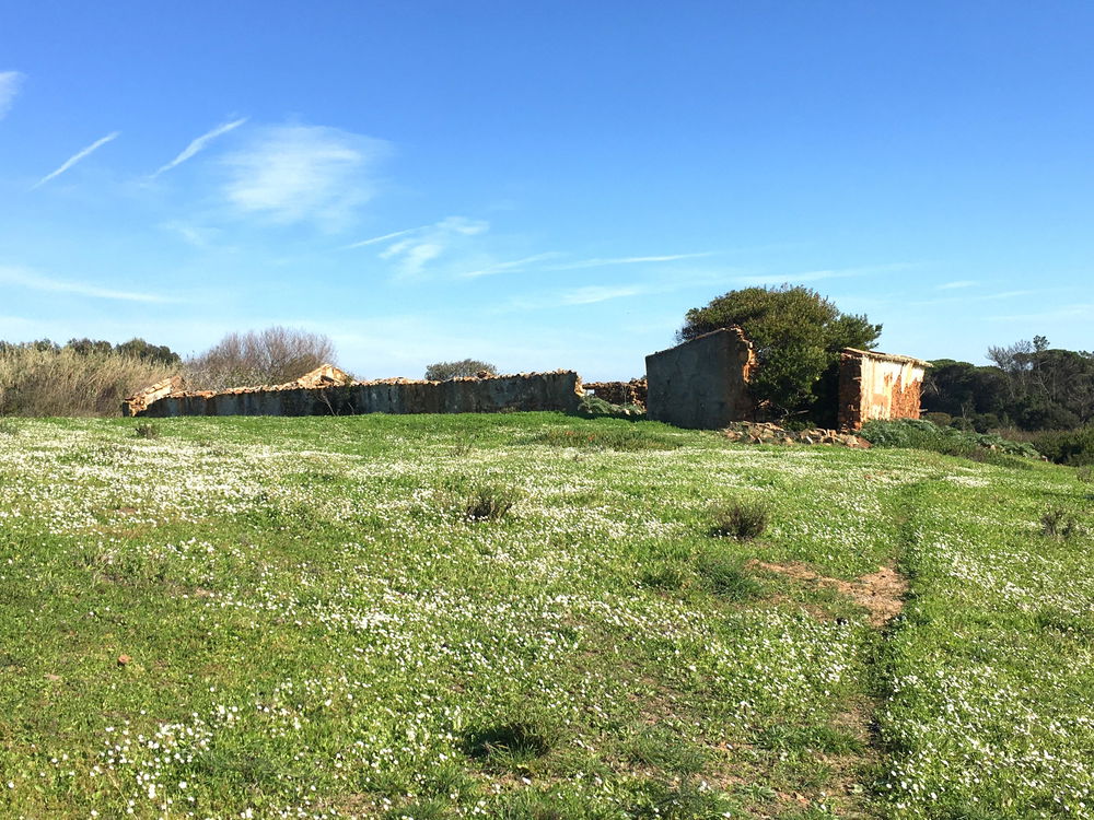 Exceptional, Land Plot for Villa Construction, Vila Nova de Mil Fontes, Alentejo 3818885720