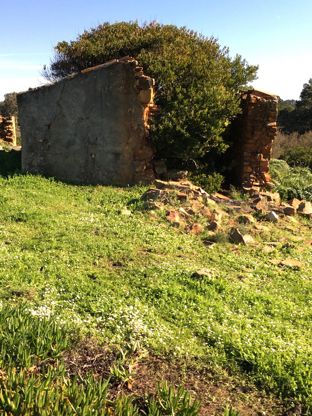 Exceptional, Land Plot for Villa Construction, Vila Nova de Mil Fontes, Alentejo 3818885720