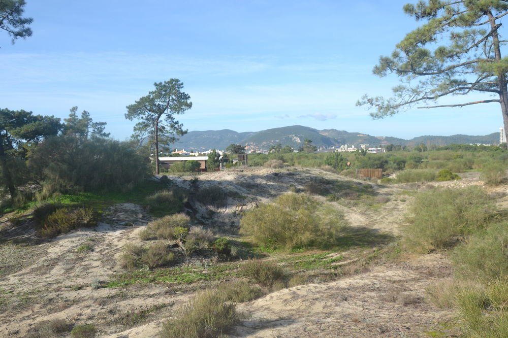 Prime Location, plot with approved project, Tróia 2188240073