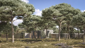 Extraordinary 9.15ha plot with approved project, Muda, Comporta 579834169