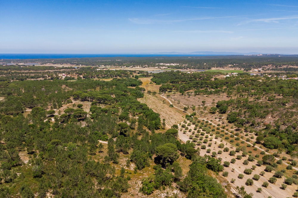 Fantastic, Land plot with approved project, sea view, Melides 2982840587