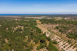 Fantastic, Land plot with approved project, sea view, Melides 2982840587