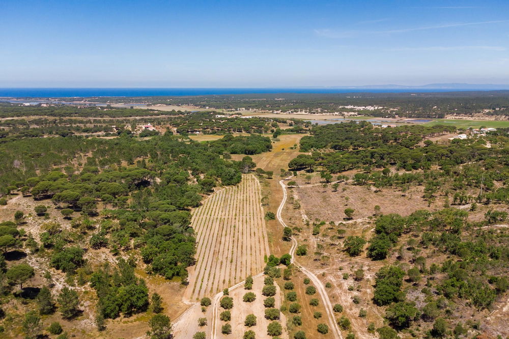 Fantastic, Land plot with approved project, sea view, Melides 2982840587