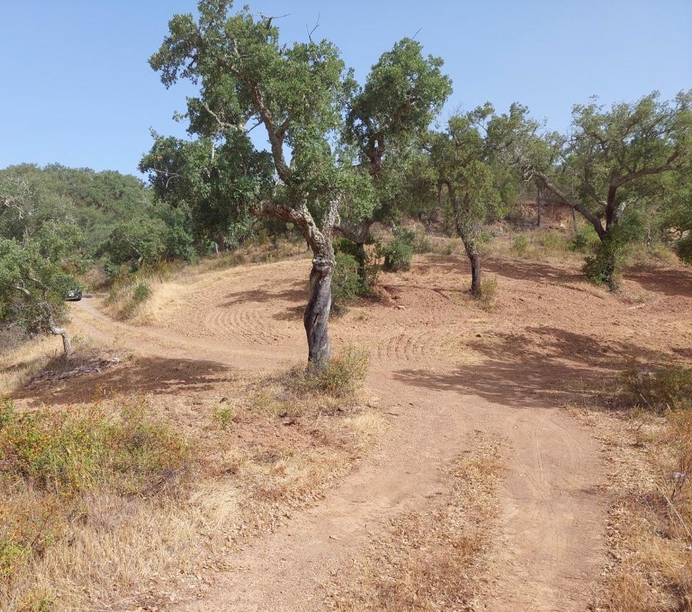 Fantastic, Plot of land between Grândola and Melides, Comporta 2030593164