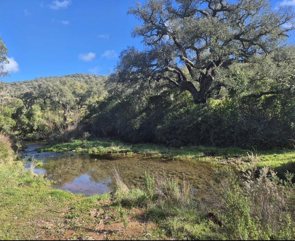 Fantastic, Plot of land between Grândola and Melides, Comporta 2030593164