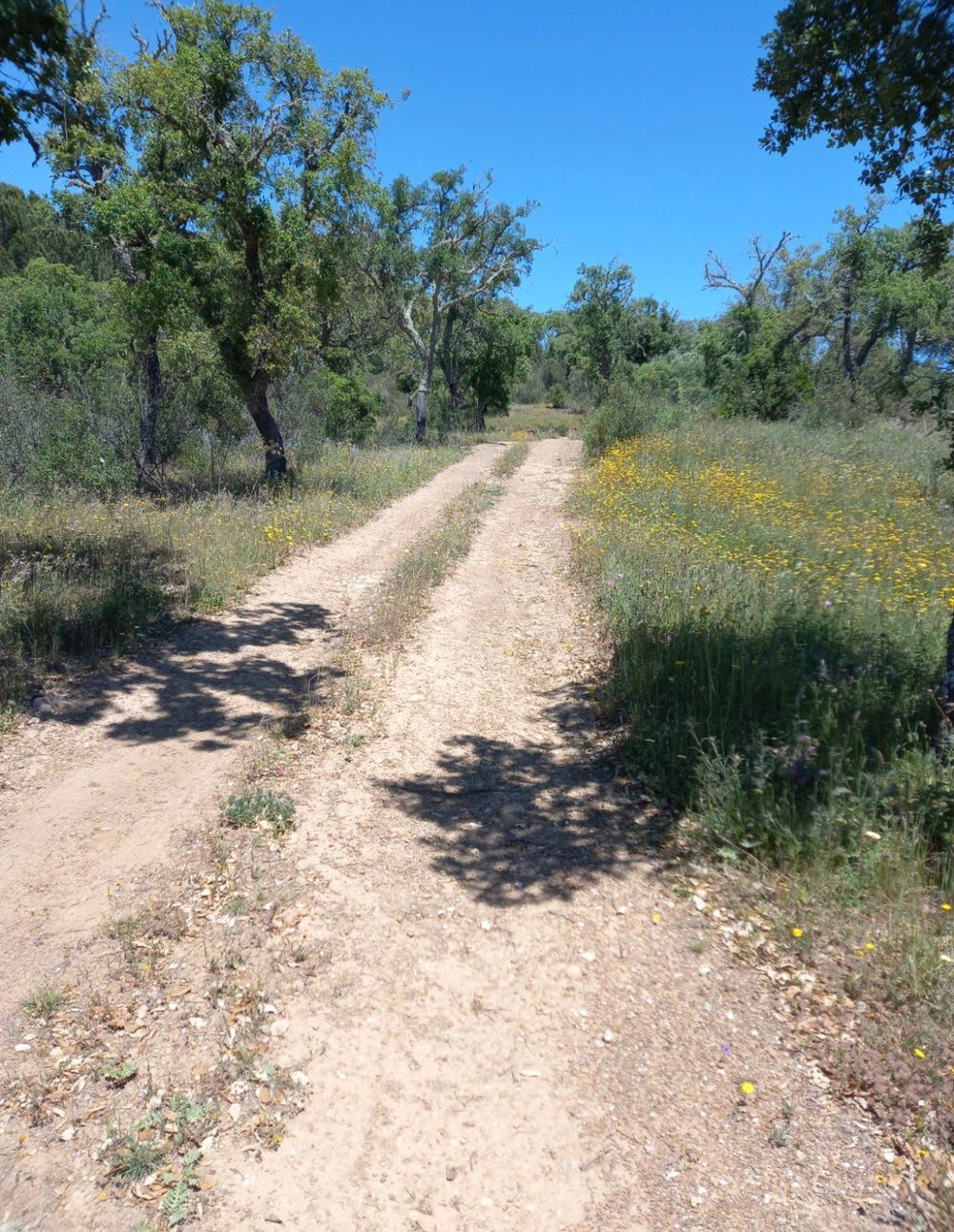 Fantastic, Plot of land between Grândola and Melides, Comporta 2030593164