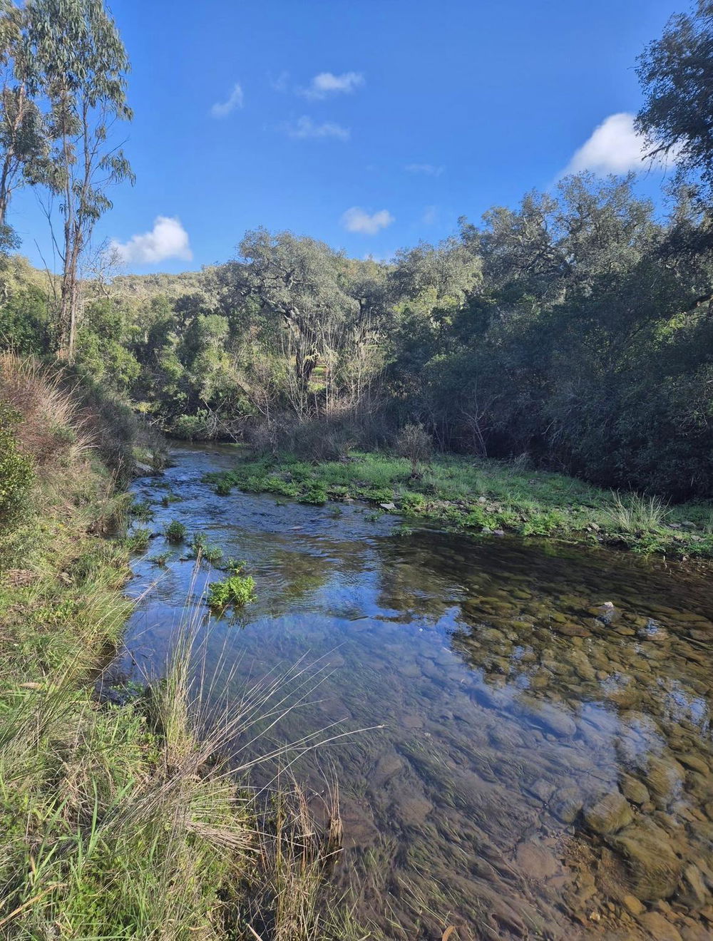 Fantastic, Plot of land between Grândola and Melides, Comporta 2030593164