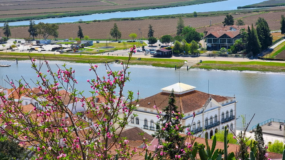 Wonderful, Plot of Land, Alcácer do Sal, Comporta 3549377033