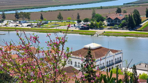 Wonderful, Plot of Land, Alcácer do Sal, Comporta 3549377033