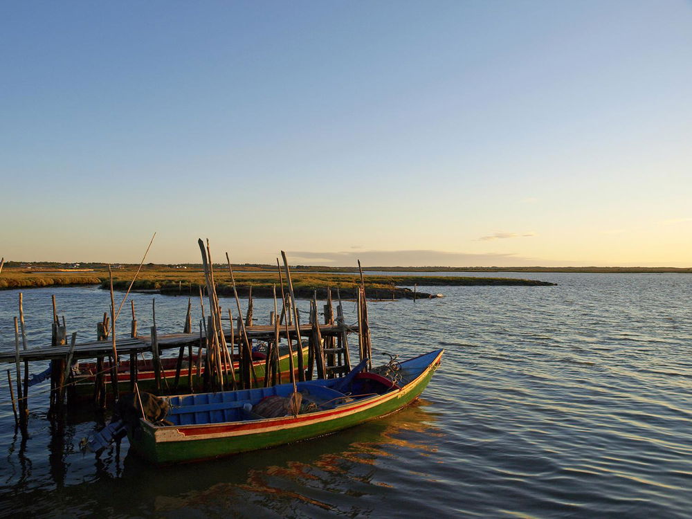 Investment opportunity, Land Plot , Comporta 626589167