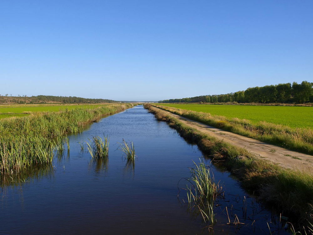 Investment opportunity, Land Plot , Comporta 626589167