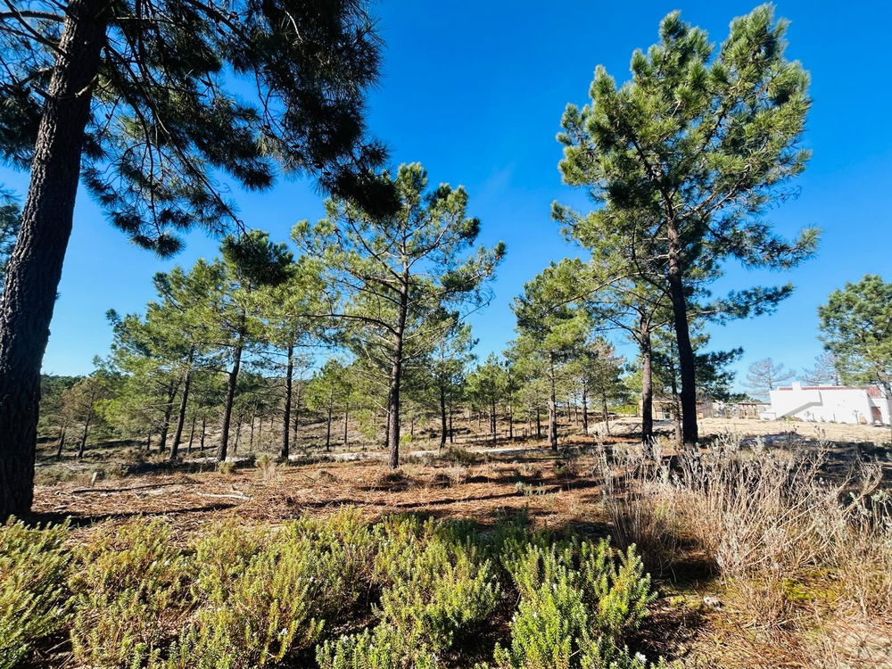 Superb, Plot of Land with Approved Project, Carvalhal, Comporta 2427854750