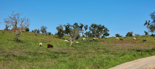 Property of 47.9 Hectares with Approved Agrotourism Project 1675074003