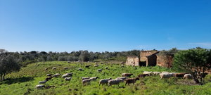 Property of 47.9 Hectares with Approved Agrotourism Project 1675074003