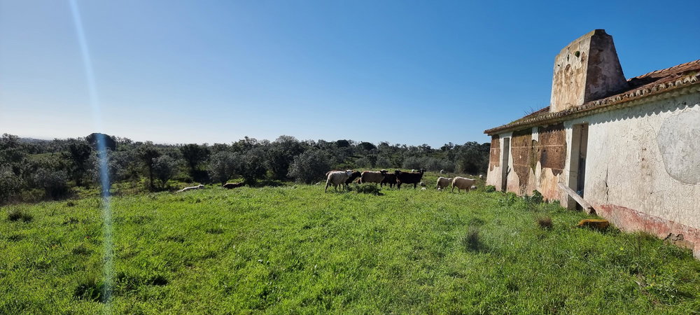 Property of 47.9 Hectares with Approved Agrotourism Project 1675074003