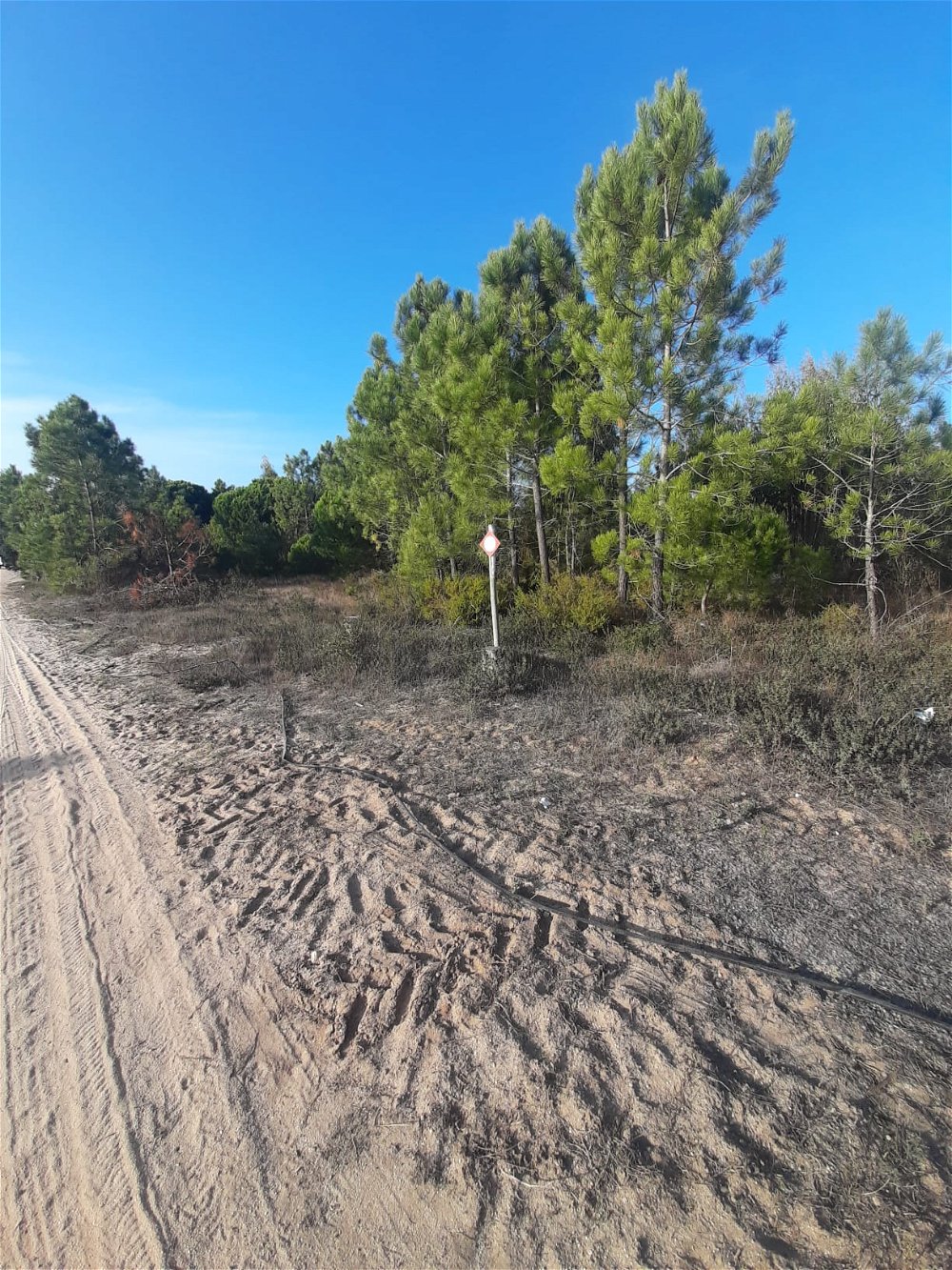 Land for Rural Hotel next to the beach, in Melides 2553117970