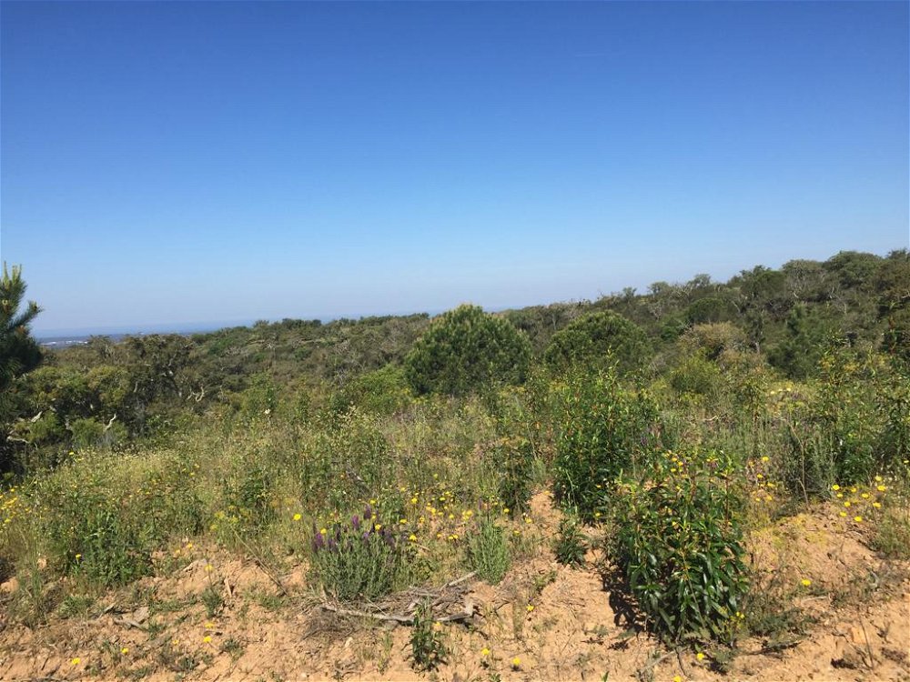 Plot of land with Previous Information Request approved near Melides 2885876166