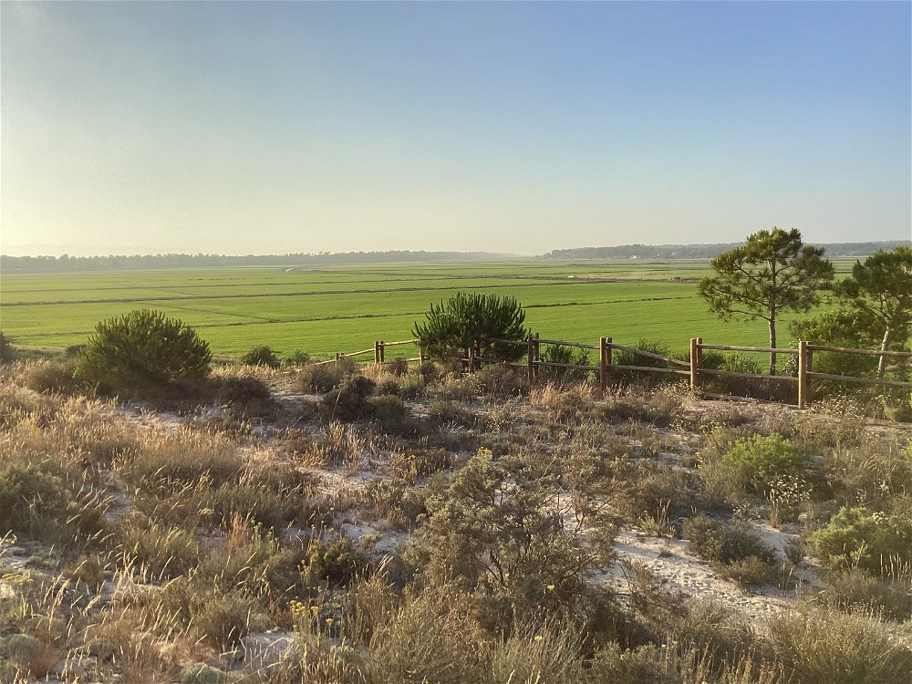 Plot of land for Construction, in Lagoa Formosa, Carvalhal 3676250908