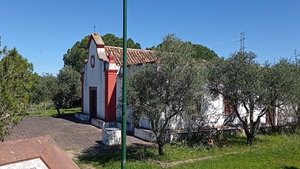 Estate with 80 ha, in Silves, Algarve 1436009971