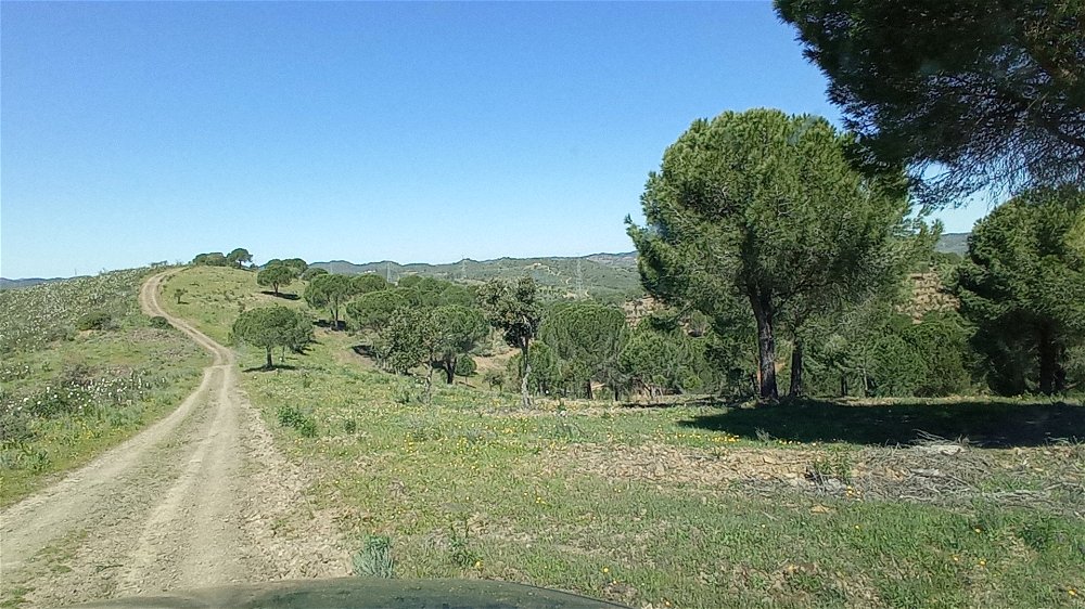 Estate with 80 ha, in Silves, Algarve 1436009971