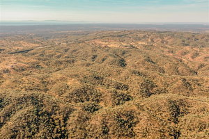 Land with forestry management and profitable, Melides 1575867246