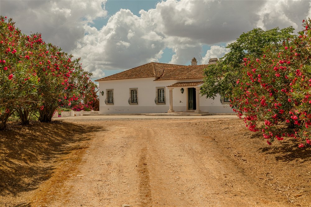6-bedroom villa of traditional Alentejo architecture in Alvito, Beja 153197049