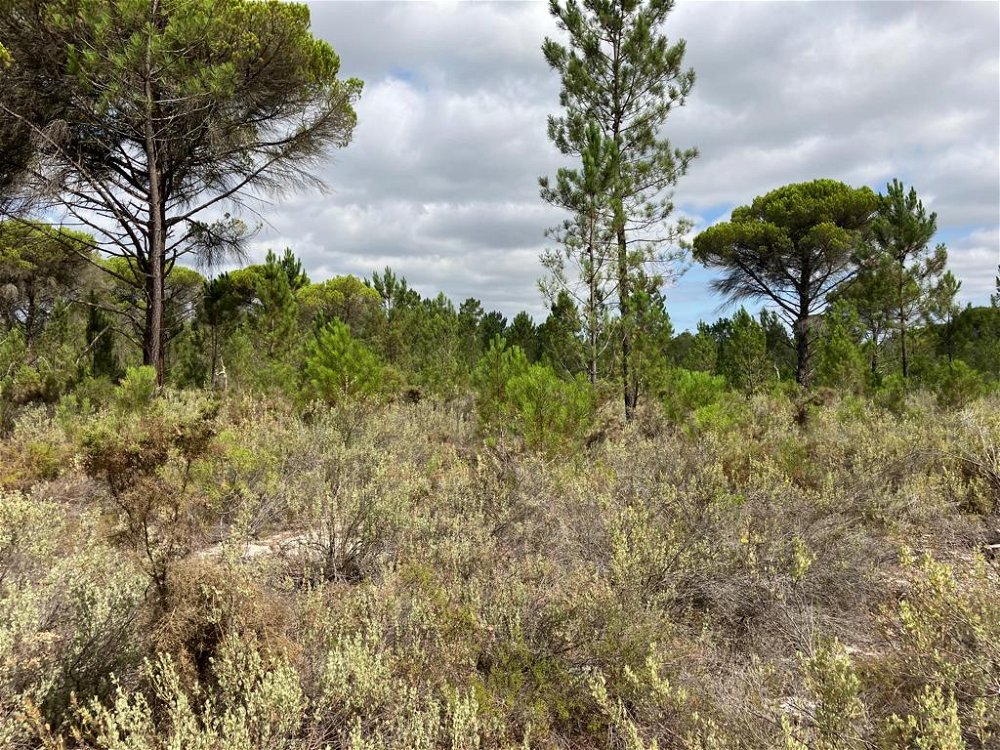 Plot of land with approved project in Muda, Comporta region 2518438619