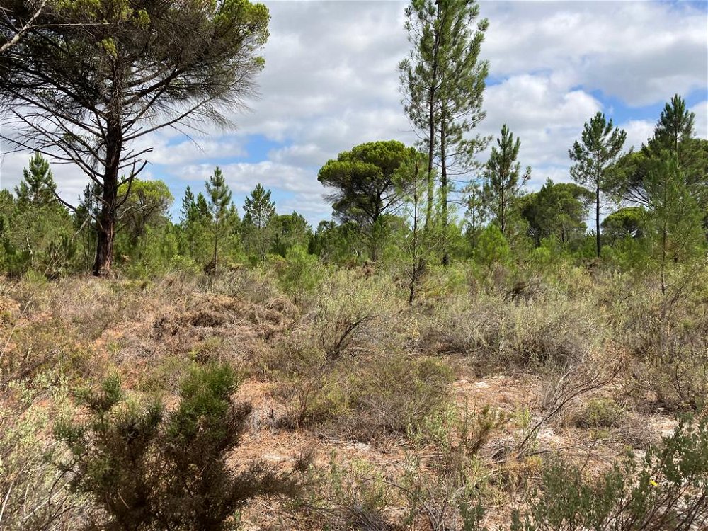 Plot of land with approved project in Muda, Comporta region 2518438619
