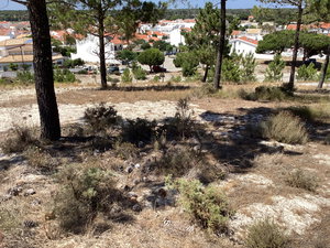 Plot of urban land in Carvalhal, Comporta region 771192906