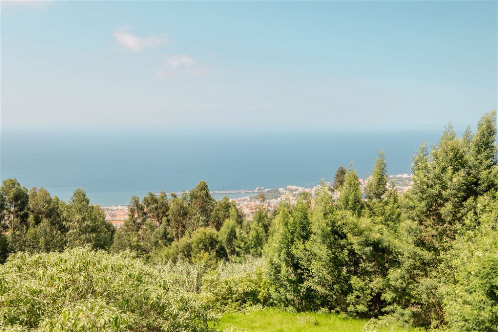 Classic 8-bedroom villa sea view Funchal, Madeira 1432017223