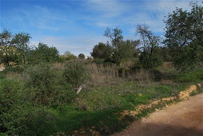 Plot of land, with approved project, Almancil, Algarve 410232883