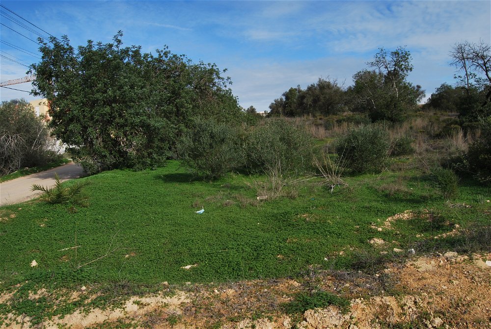 Plot of land, with approved project, Almancil, Algarve 410232883