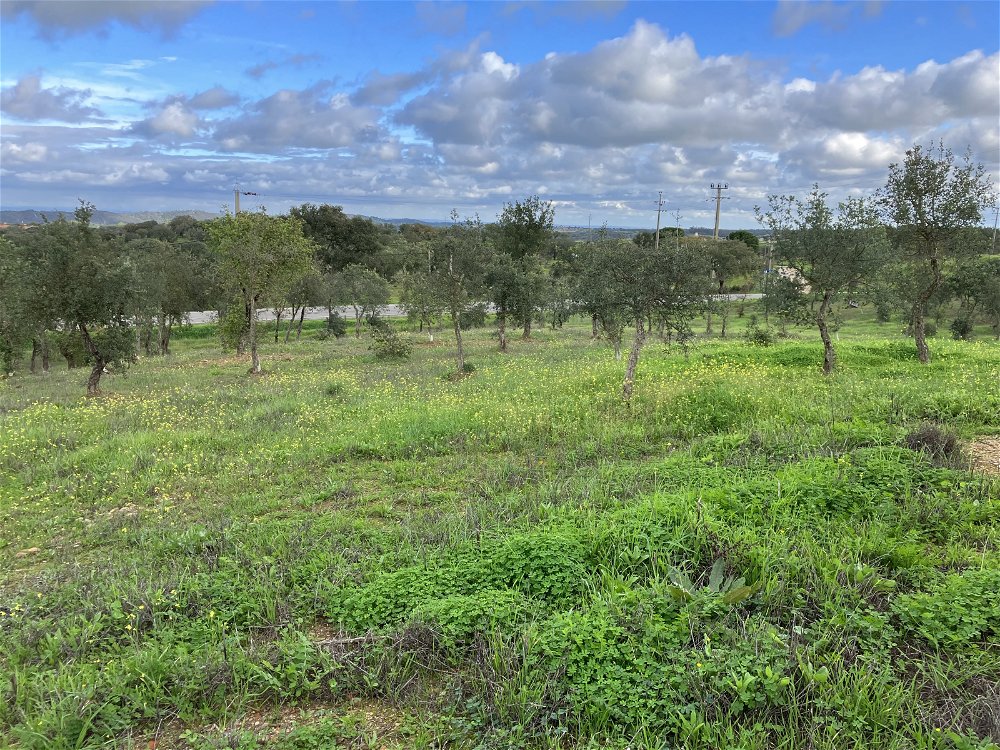 Rustic land in Santa Margarida da Serra, Grândola 4054019900