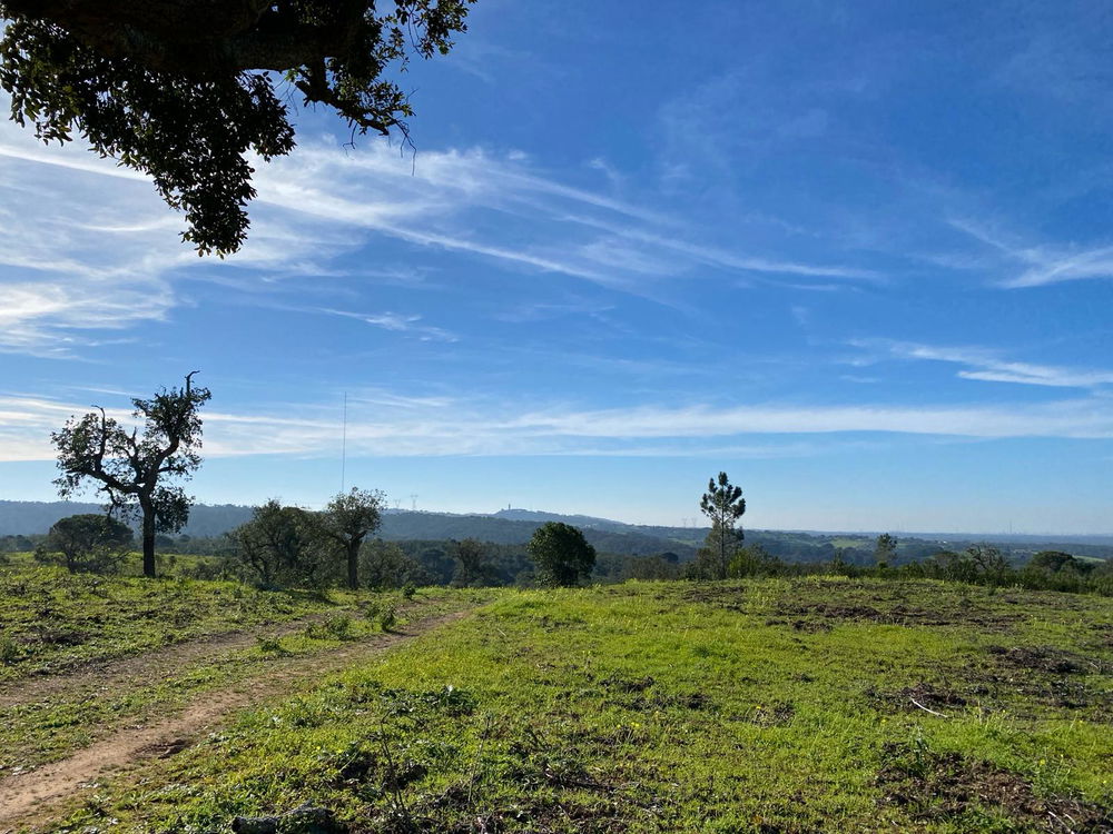 Plot of land overlooking the lagoon in Santiago do Cacém 1050805159