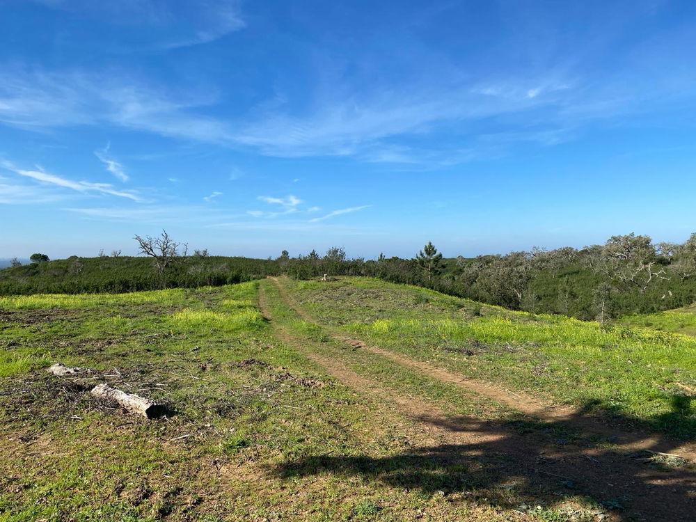 Plot of land overlooking the lagoon in Santiago do Cacém 1050805159